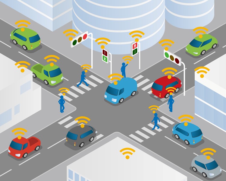 What Transport System Is Used In Gaseous Exchange